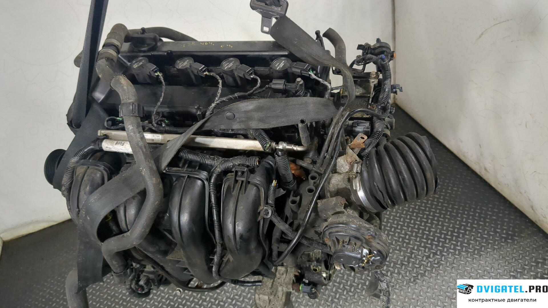 Двигатель Ford Focus 2 2008 - 2011 AODA, AODE 2 л., Бензин, Инжектор, артикул 8731115