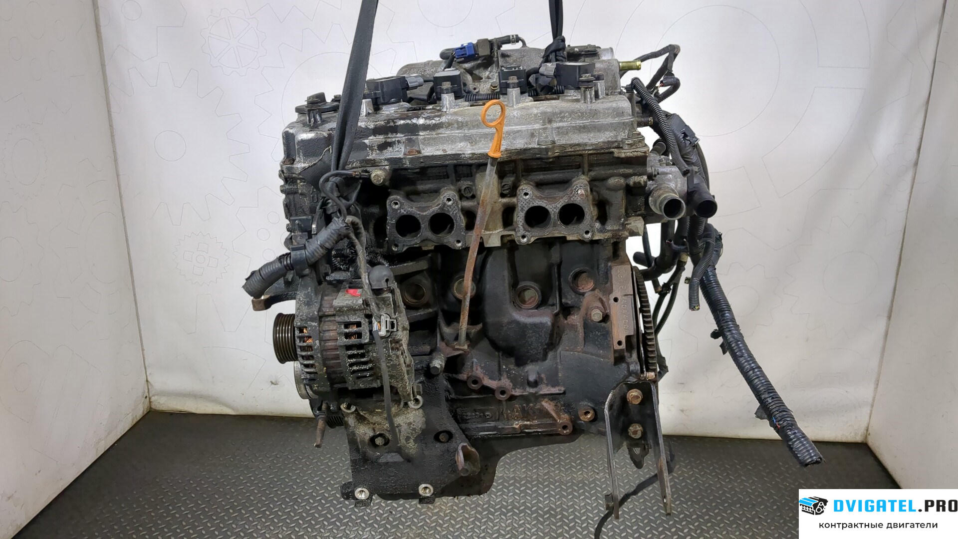 Двигатель Nissan Primera P12 2002 - 2007 QG18DE 1.8 л., Бензин, Инжектор, артикул 9212621