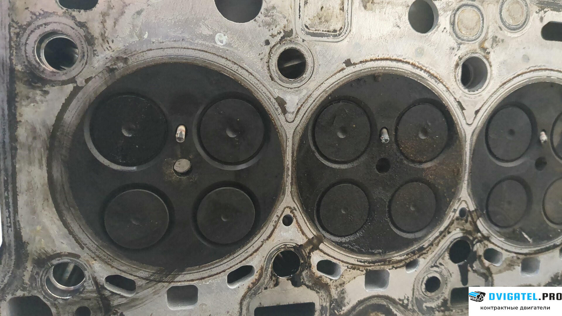 Головка блока цилиндров (ГБЦ) BMW 5 F10 2010 - 2016 N47D20C 2 л., Дизель, Турбо, артикул 8647332