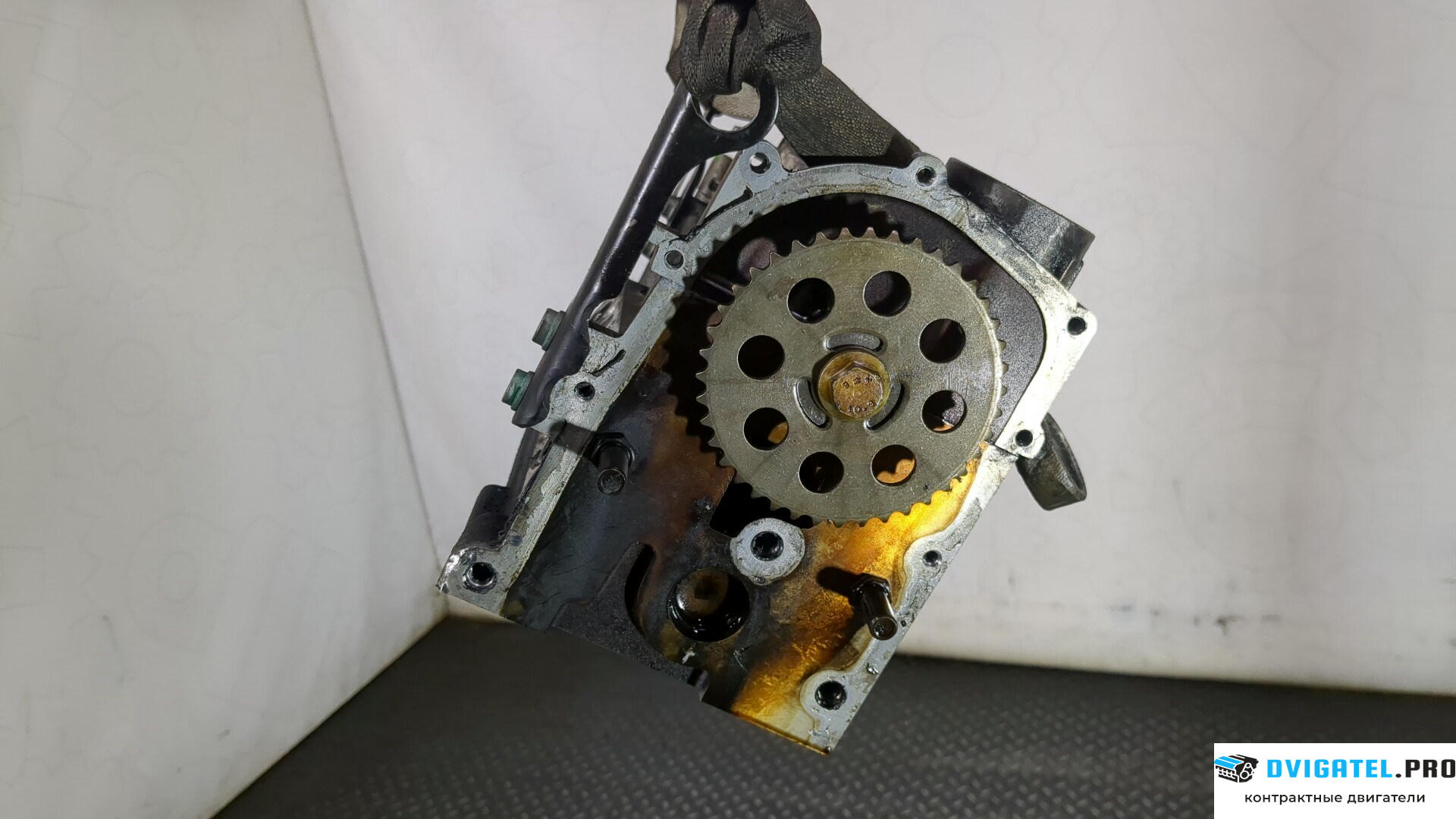 Головка блока цилиндров (ГБЦ) Volkswagen Polo 2001 - 2005 AWY 1.2 л., Бензин, Инжектор, артикул 8897038
