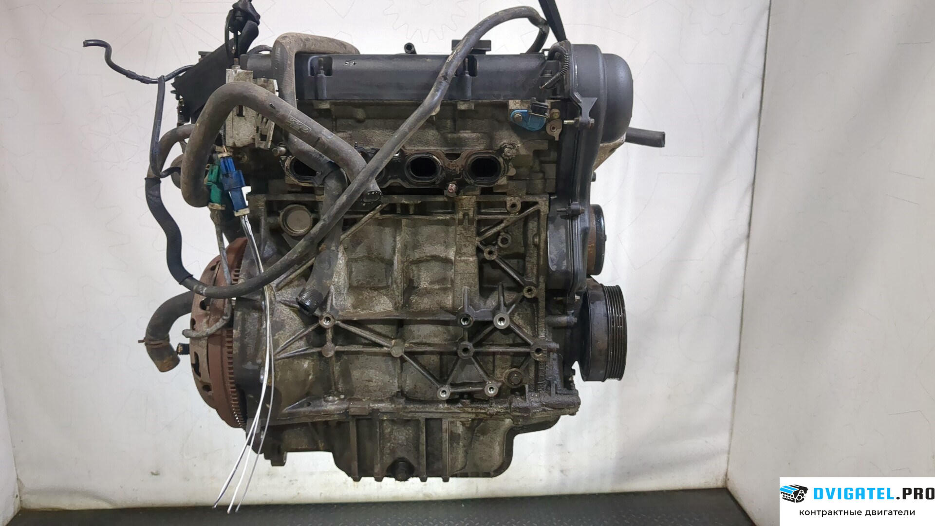 Двигатель Ford Focus 2 2008 - 2011 SHDA, SHDC 1.6 л., Бензин, Инжектор, артикул 9266126