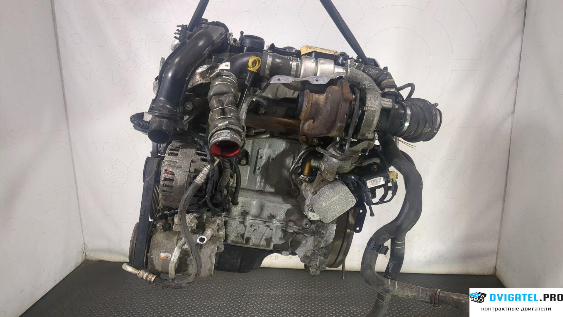 Двигатель Ford Focus 3 2014 - 2019 XWDD 1.5 л., Дизель, TDCI, артикул 9002050