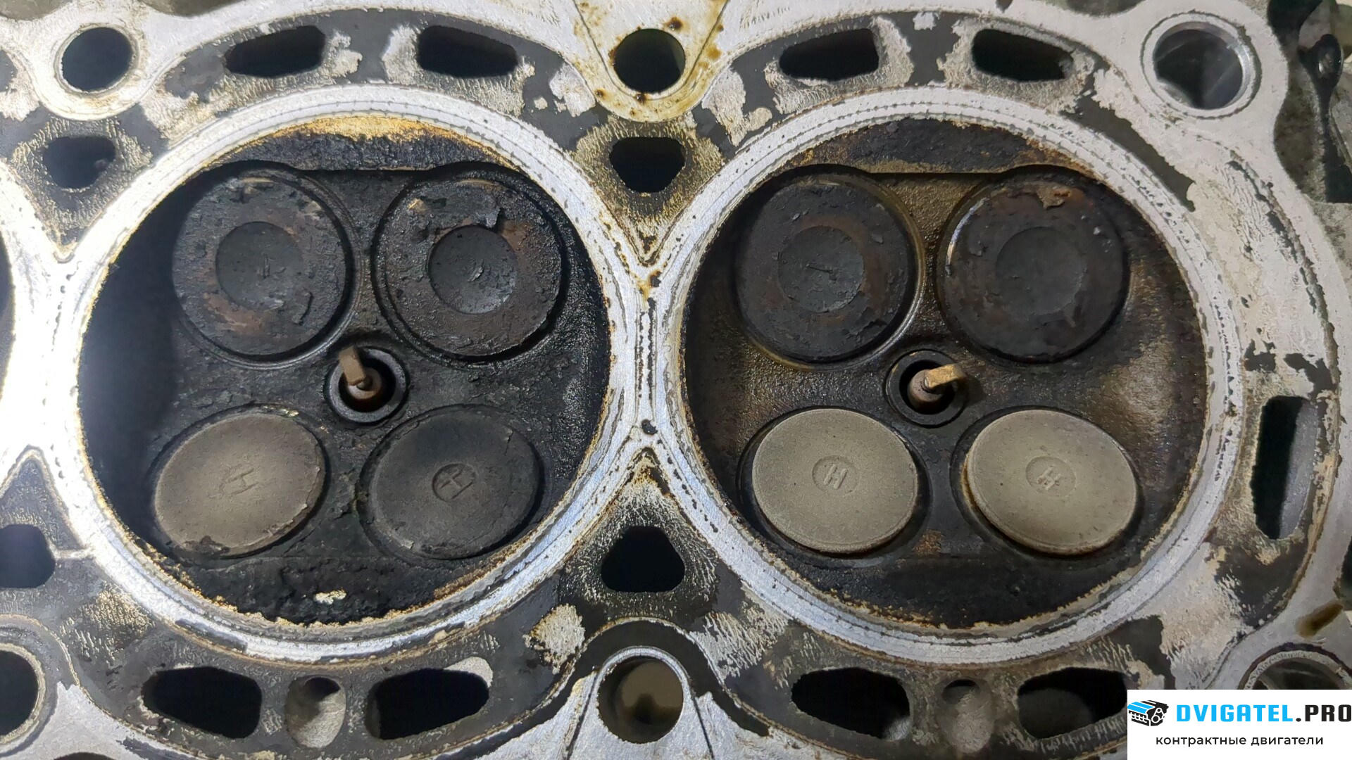 Головка блока цилиндров (ГБЦ) Ford Fusion 2002 - 2012 FXJA, FXJB, FXJC 1.4 л., Бензин, Инжектор, артикул 9154578