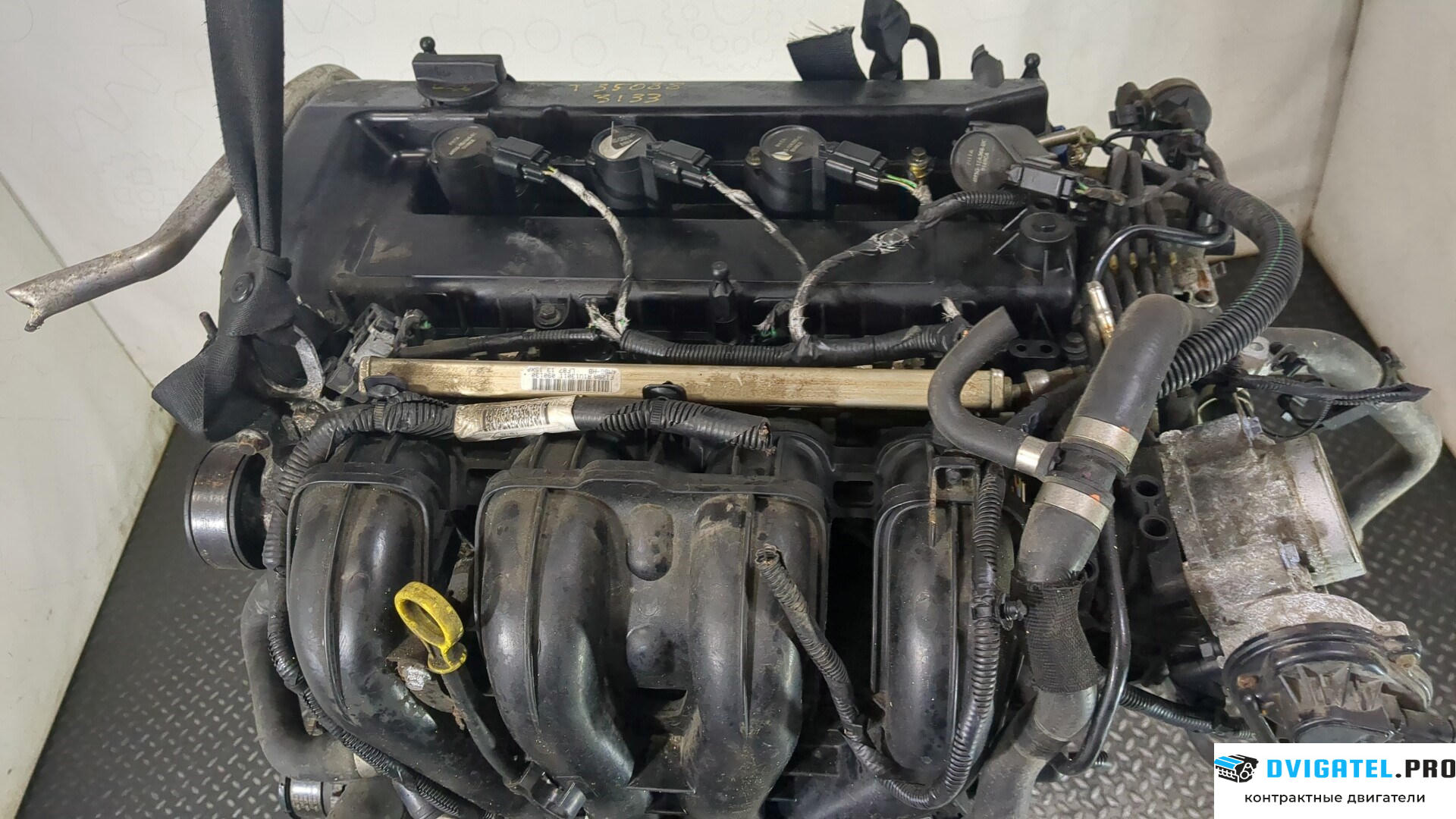 Двигатель Ford Focus 2 2008 - 2011 AODA, AODE 2 л., Бензин, Инжектор, артикул 8808515