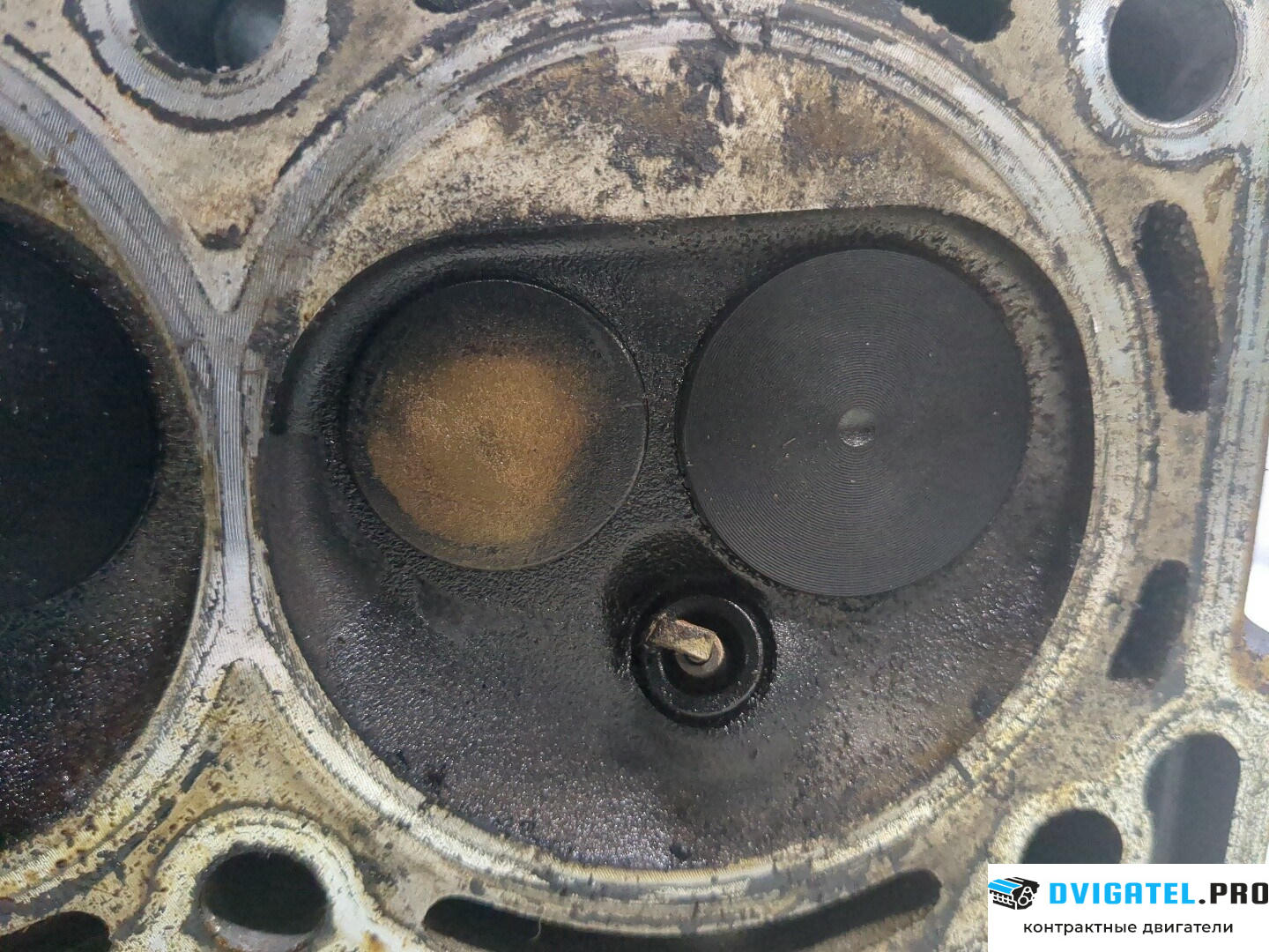Головка блока цилиндров (ГБЦ) Volkswagen Polo 2001 - 2005 AWY 1.2 л., Бензин, Инжектор, артикул 8218731