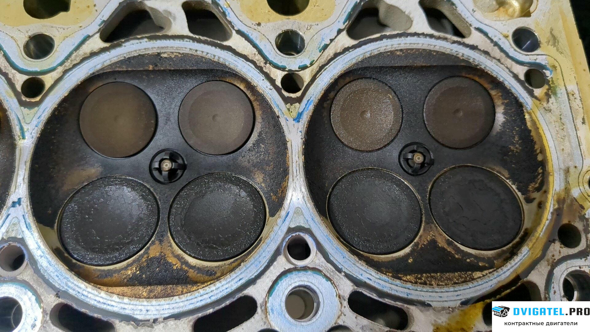 Головка блока цилиндров (ГБЦ) BMW 6 E63 2004 - 2007 N62 B44A 4.4 л., Бензин, Инжектор, артикул 9209450
