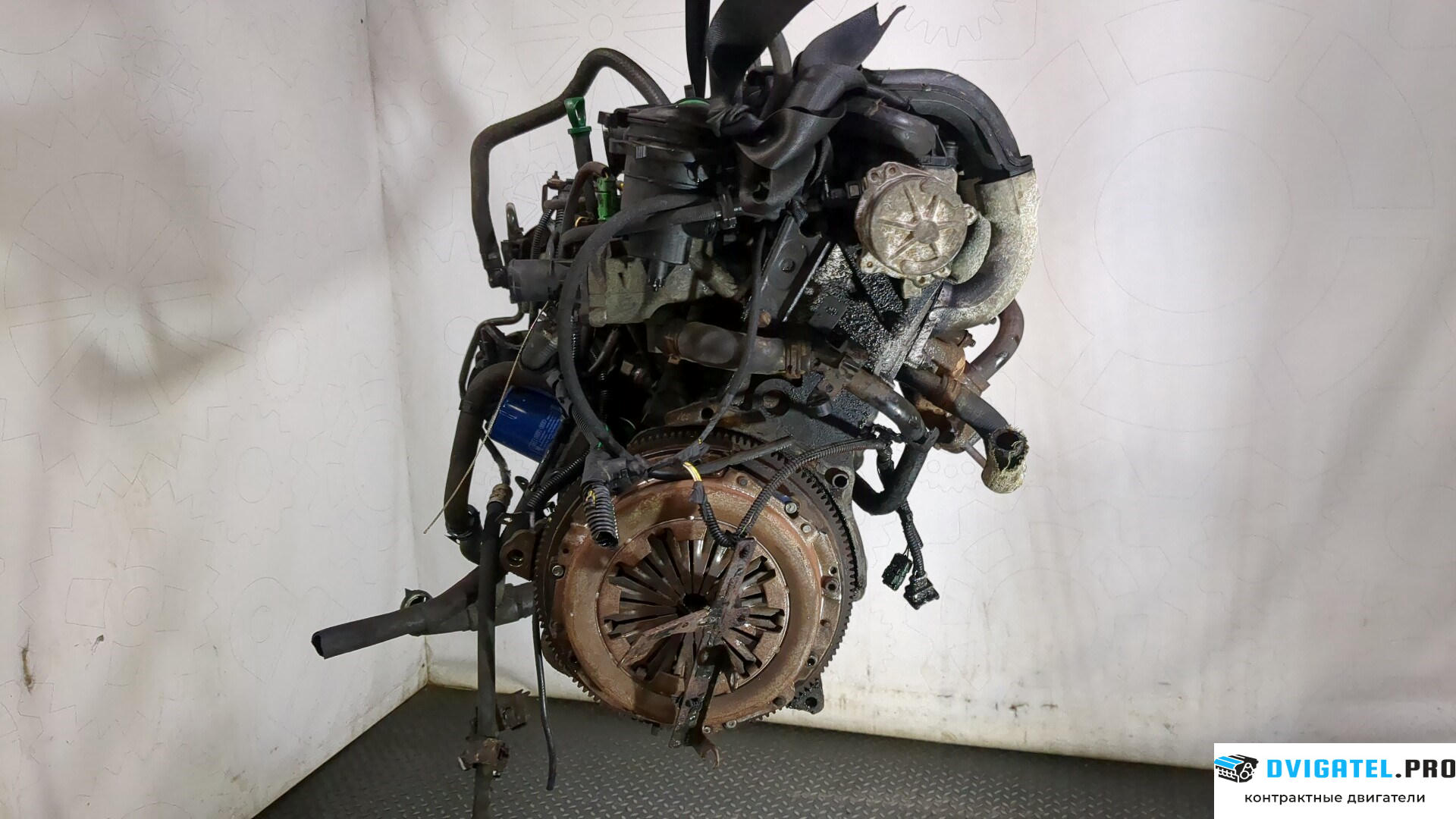 Двигатель Peugeot Expert 1995 - 2007 WJY 1.9 л., Дизель, Дизель, артикул 9280681