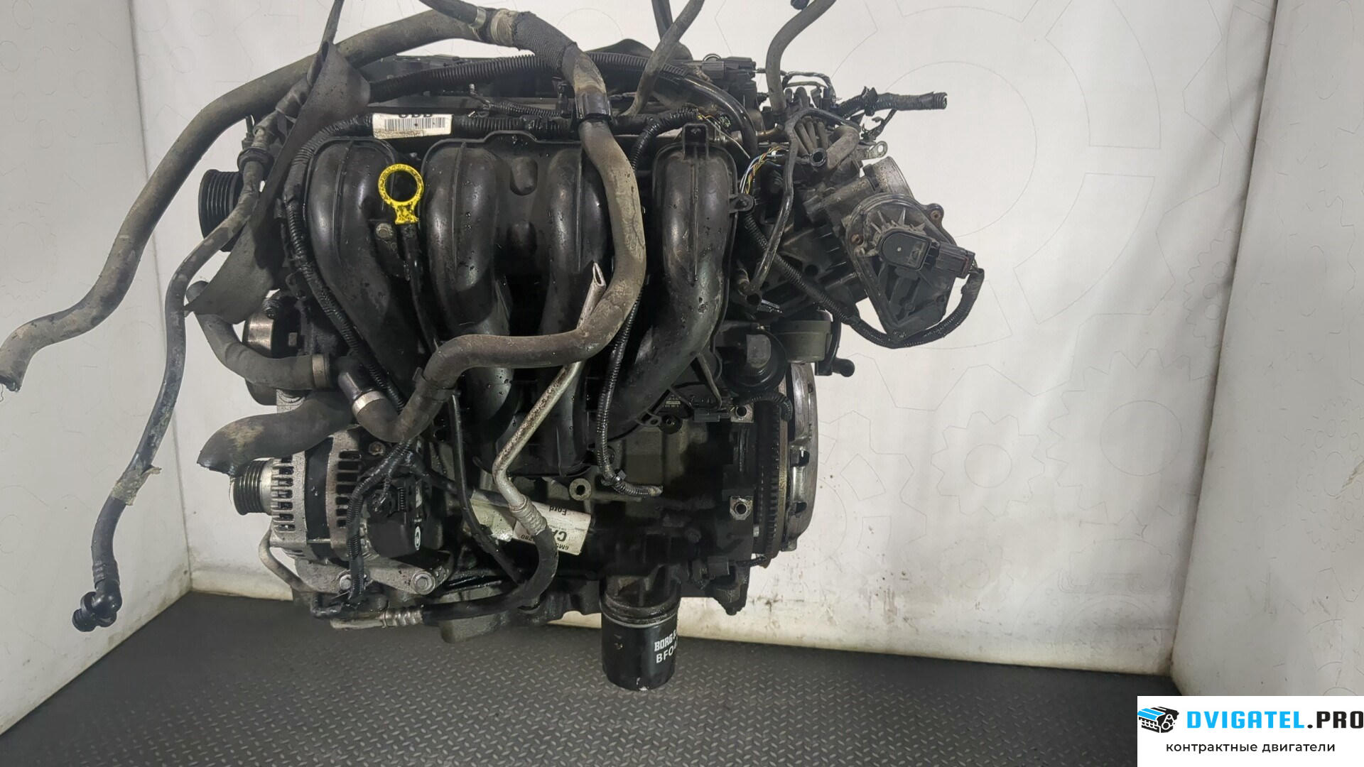 Двигатель Ford C-Max 2002 - 2010 QQDA, QQDB 1.8 л., Бензин, Инжектор, артикул 8770796