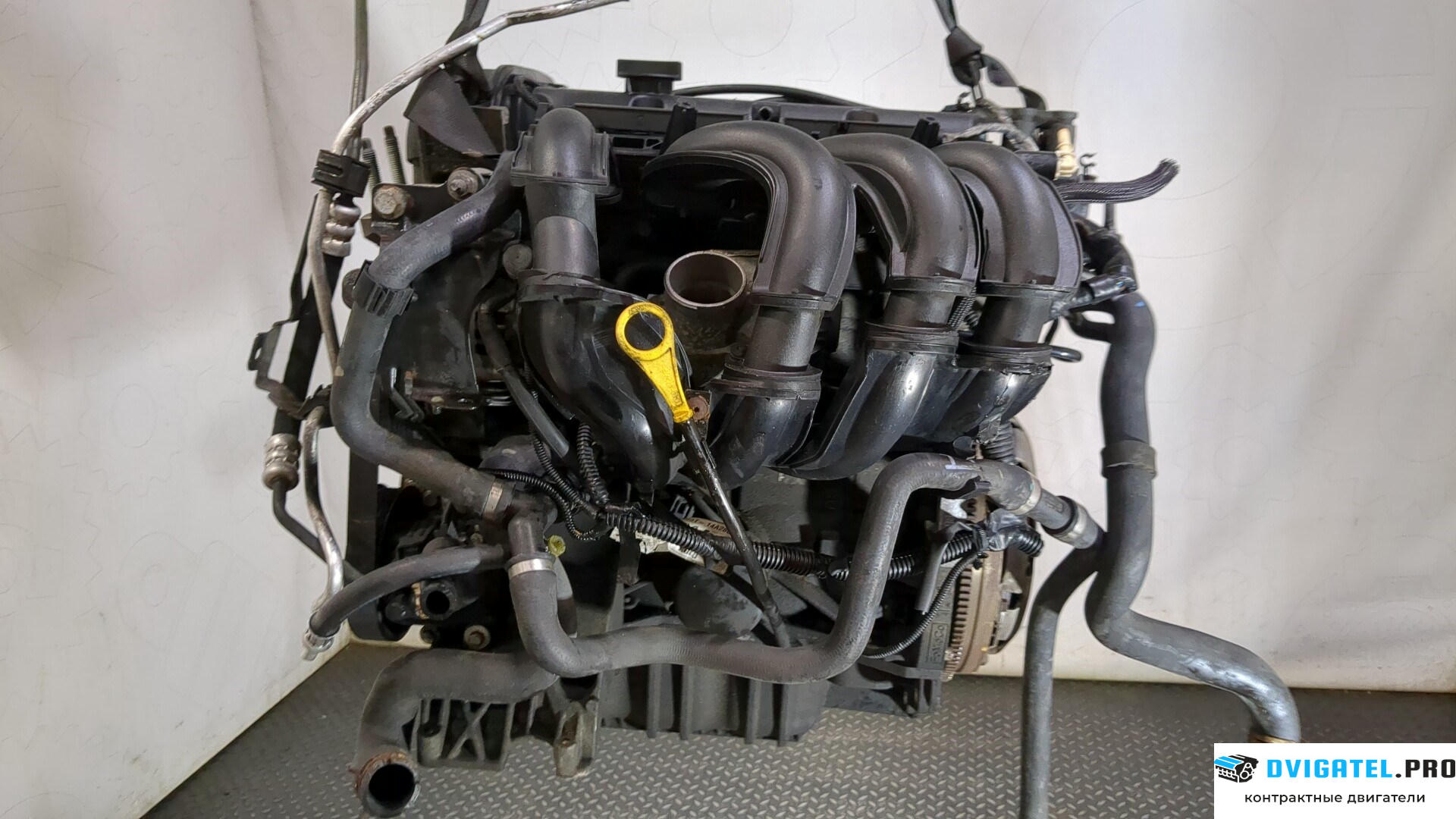 Двигатель Ford Focus 2 2008 - 2011 SHDA, SHDC 1.6 л., Бензин, Инжектор, артикул 9283626