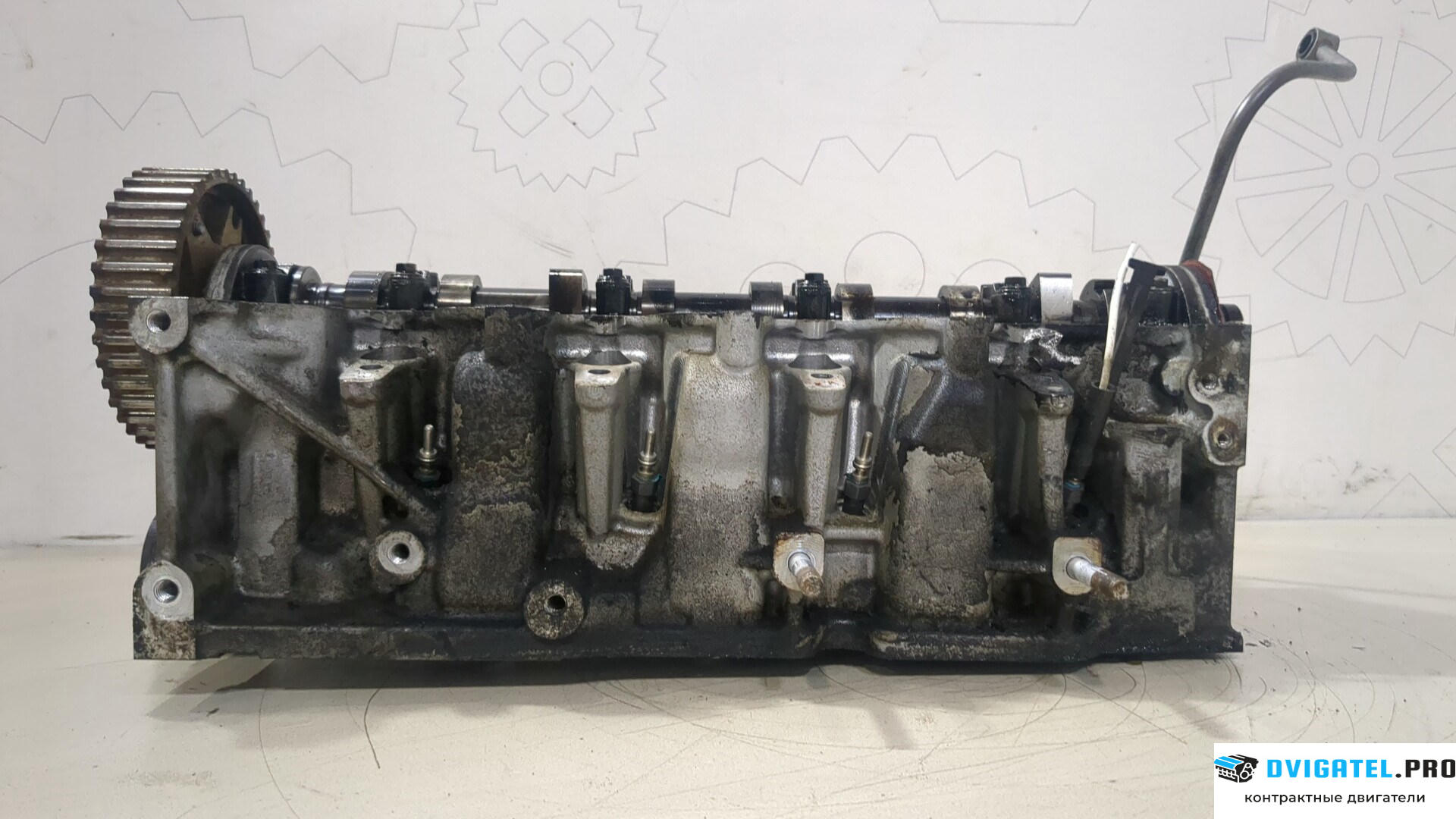 Головка блока цилиндров (ГБЦ) Dacia Logan 2012 - 2016 K9K 612 1.5 л., Дизель, DCI, артикул 9096032