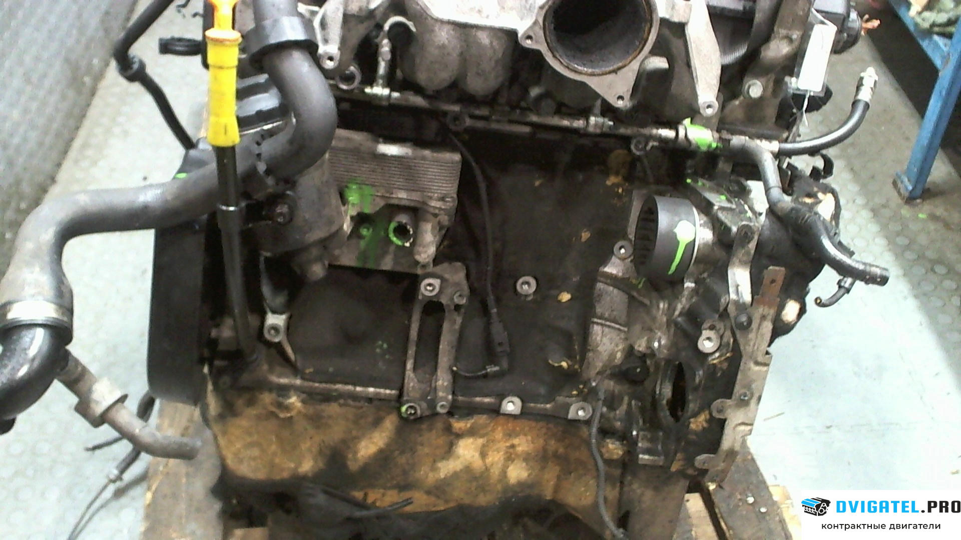 Двигатель Volkswagen Touareg 2002 - 2007 BAC 2.5 л., Дизель, TDI, артикул 7817750
