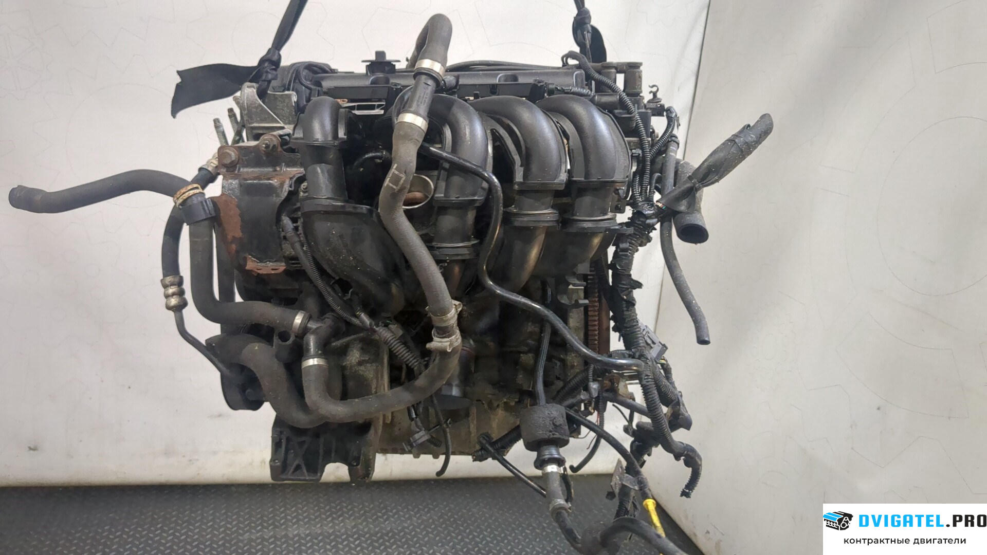 Двигатель Ford Focus 2 2005 - 2008 HWDA, HWDB 1.6 л., Бензин, Инжектор, артикул 9277487