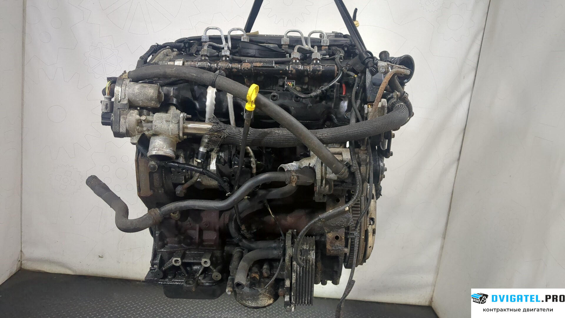 Двигатель Ford Mondeo 3 2000 - 2007 QJBA, QJBB, QJBC, QJBD 2.2 л., Дизель, TDCI, артикул 9253842