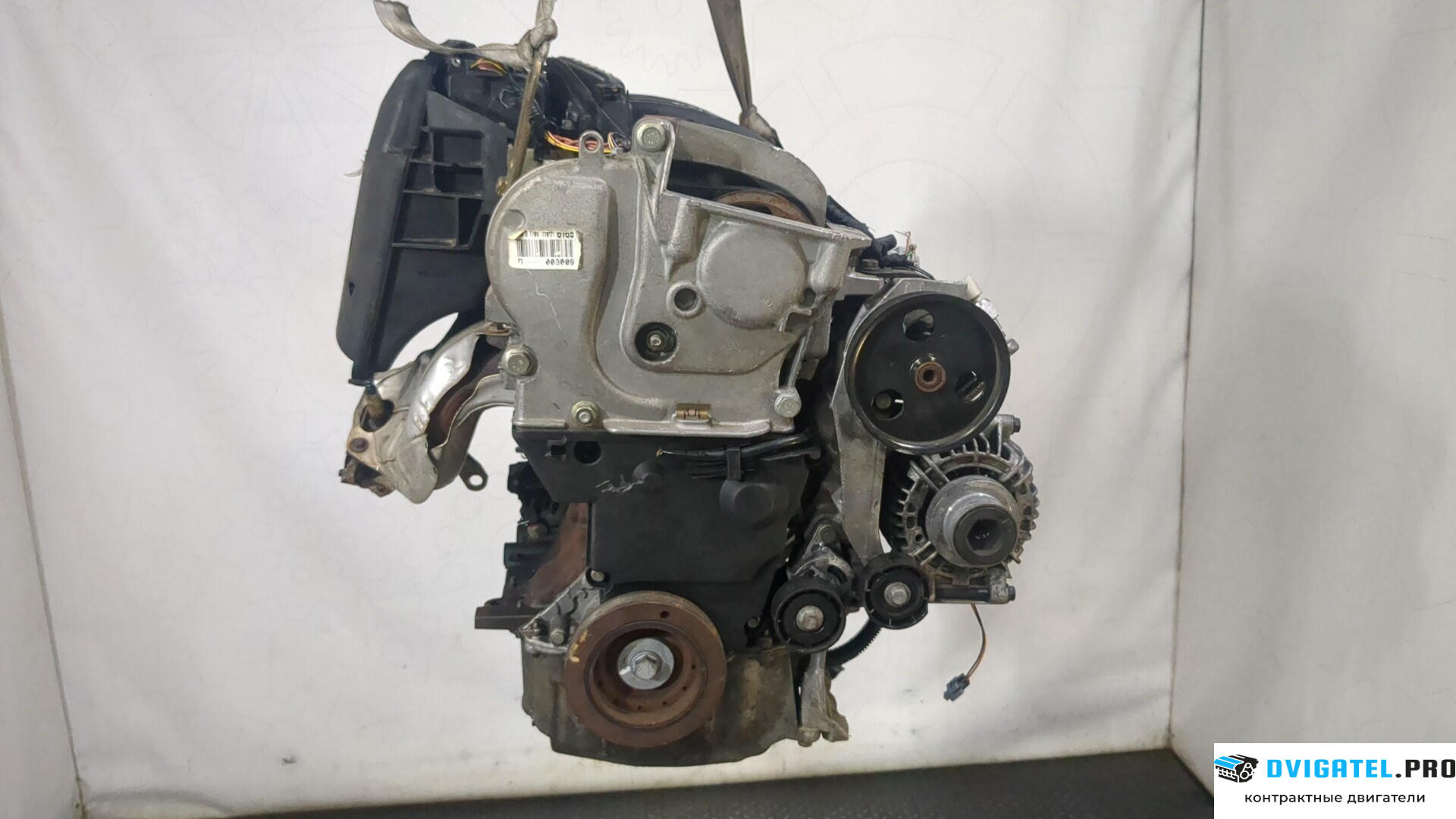Двигатель Renault Scenic 1996 - 2002 K4M 709 1.6 л., Бензин, Инжектор, артикул 9177647