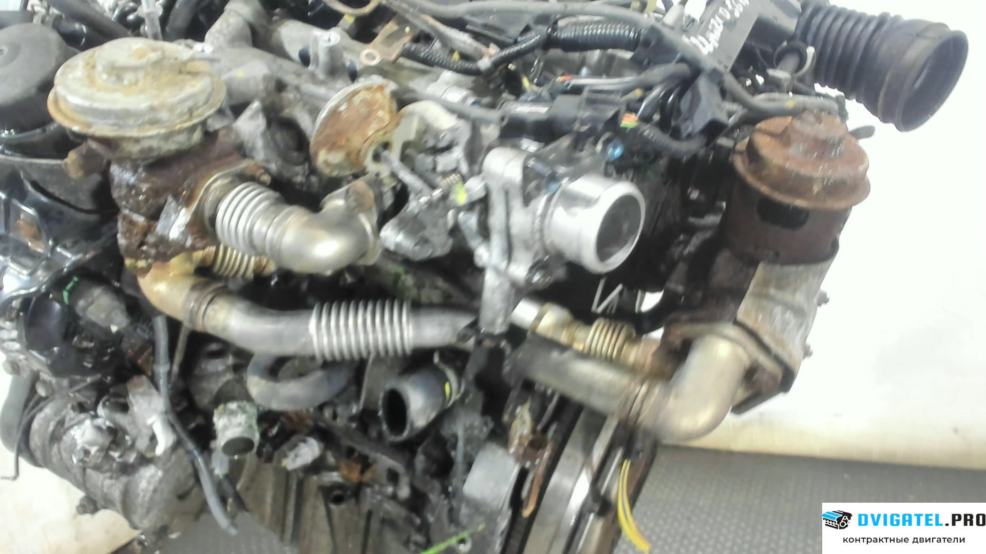 Двигатель Honda CR-V 2002 - 2006 N22A2 2.2 л., Дизель, CTDi, артикул 7088500