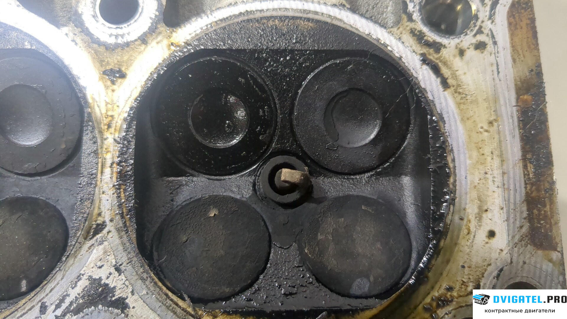 Головка блока цилиндров (ГБЦ) Volkswagen Polo 2001 - 2005 AZQ 1.2 л., Бензин, Инжектор, артикул 9211914