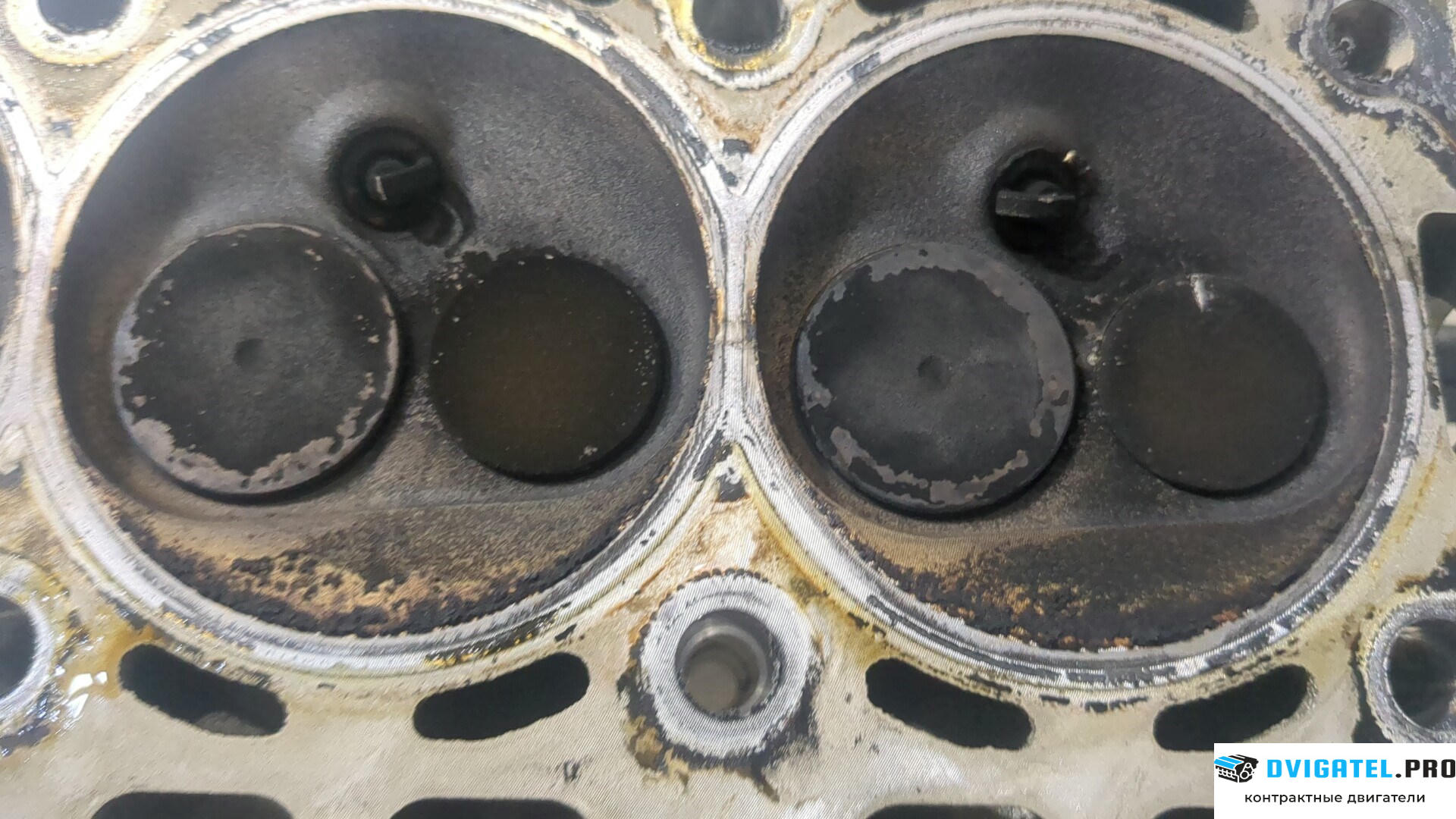 Головка блока цилиндров (ГБЦ) Volkswagen Fox 2005 - 2011 BMD 1.2 л., Бензин, Инжектор, артикул 9212163