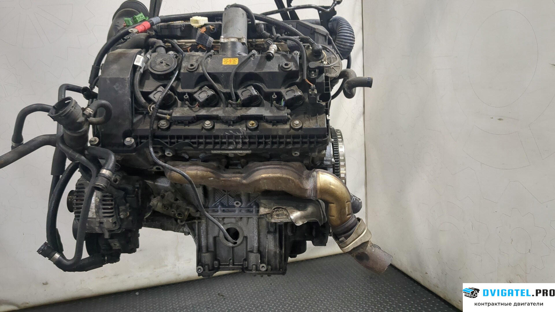 Двигатель BMW X5 E53 2000 - 2007 N62 B44A 4.4 л., Бензин, Инжектор, артикул 8231201