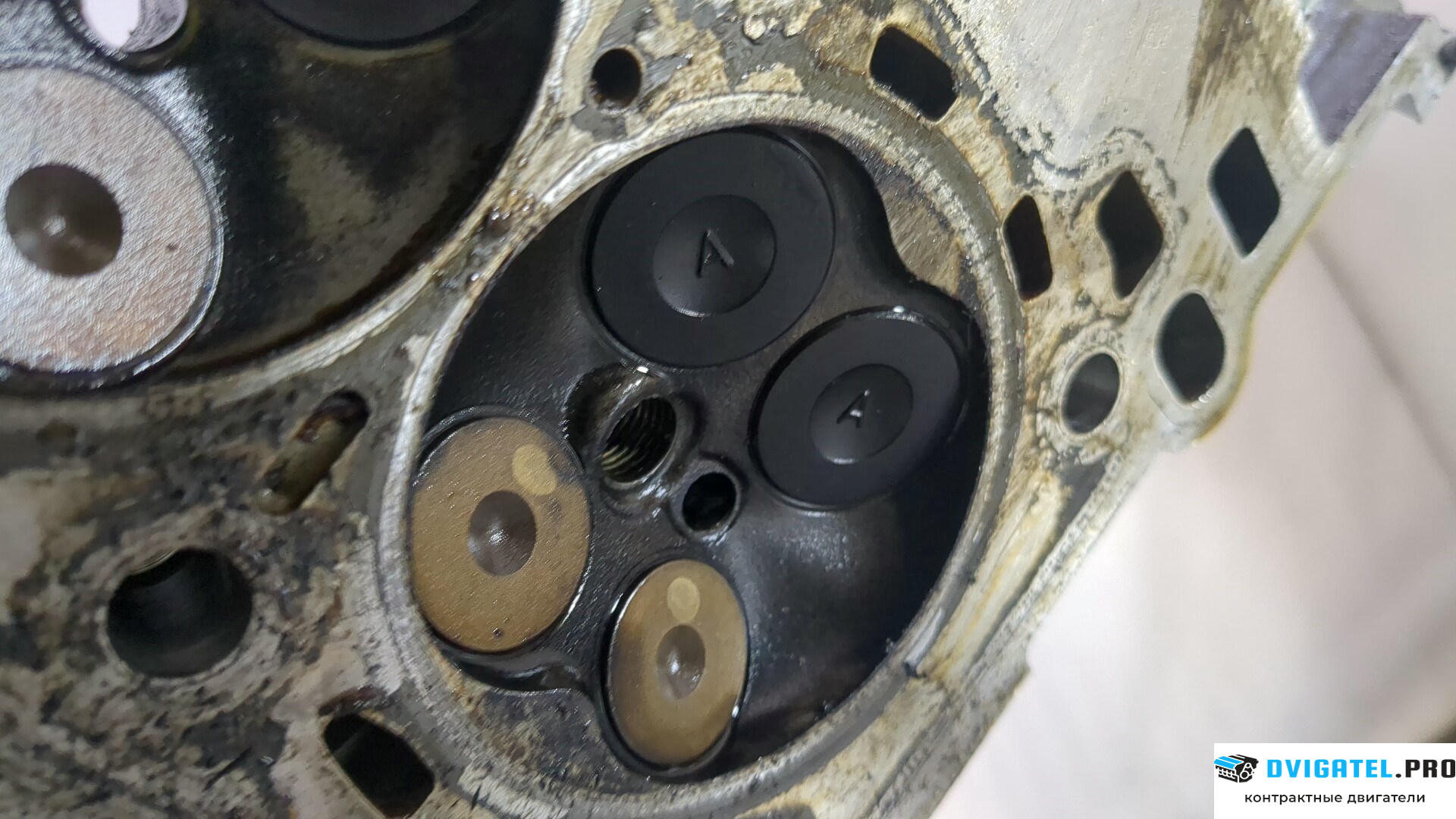 Головка блока цилиндров (ГБЦ) Ford Focus 3 2011 - 2015 M2DA 1 л., Бензин, EcoBoost, артикул 8921706