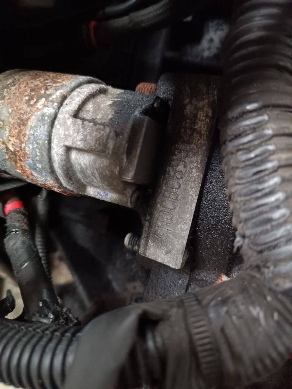 Двигатель SHDA Ford Focus 2 restailing 1.6 Бензин