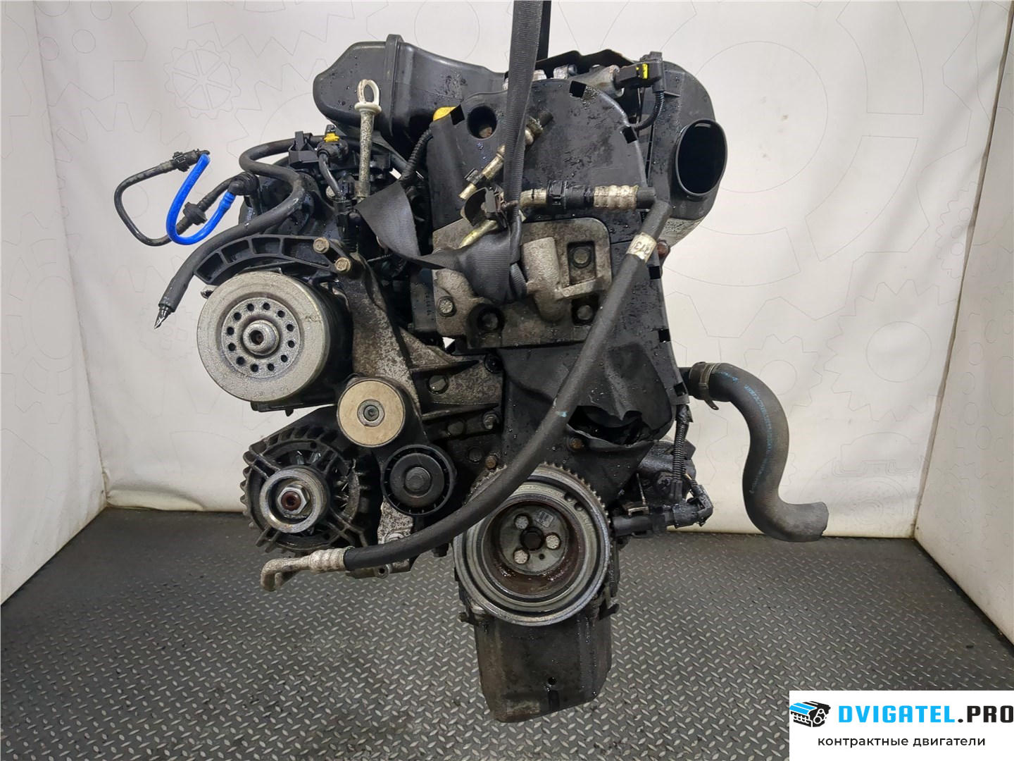 Двигатель Alfa Romeo MiTo 2008 - 2013 955 A1.000 1.4 л., Бензин, Инжектор, артикул 8061093