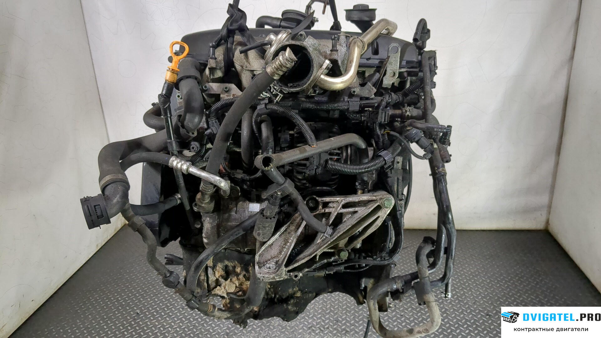 Двигатель Volkswagen Touareg 2002 - 2007 BAC 2.5 л., Дизель, TDI, артикул 8784941