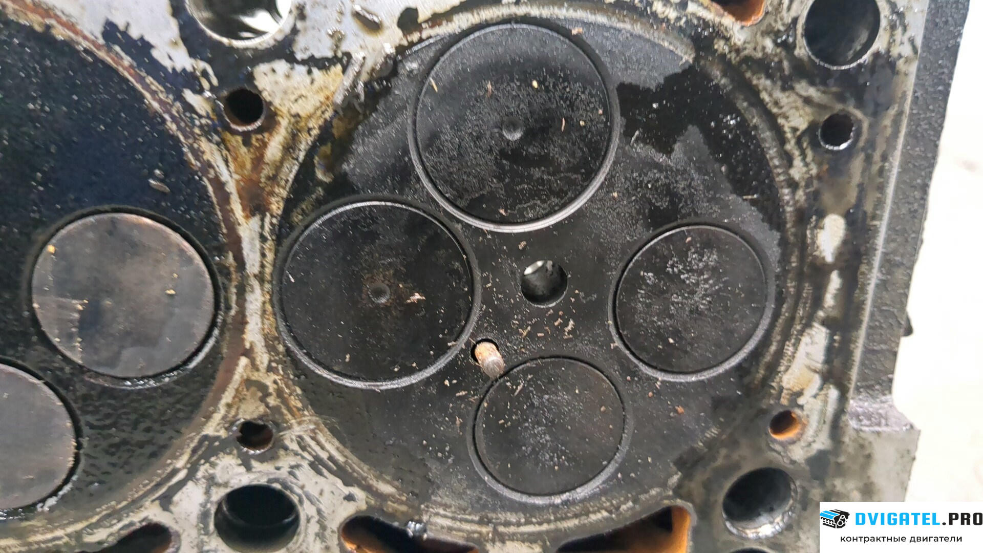 Головка блока цилиндров (ГБЦ) Volkswagen Golf 5 2003 - 2009 BKD 2 л., Дизель, TDI, артикул 8896531