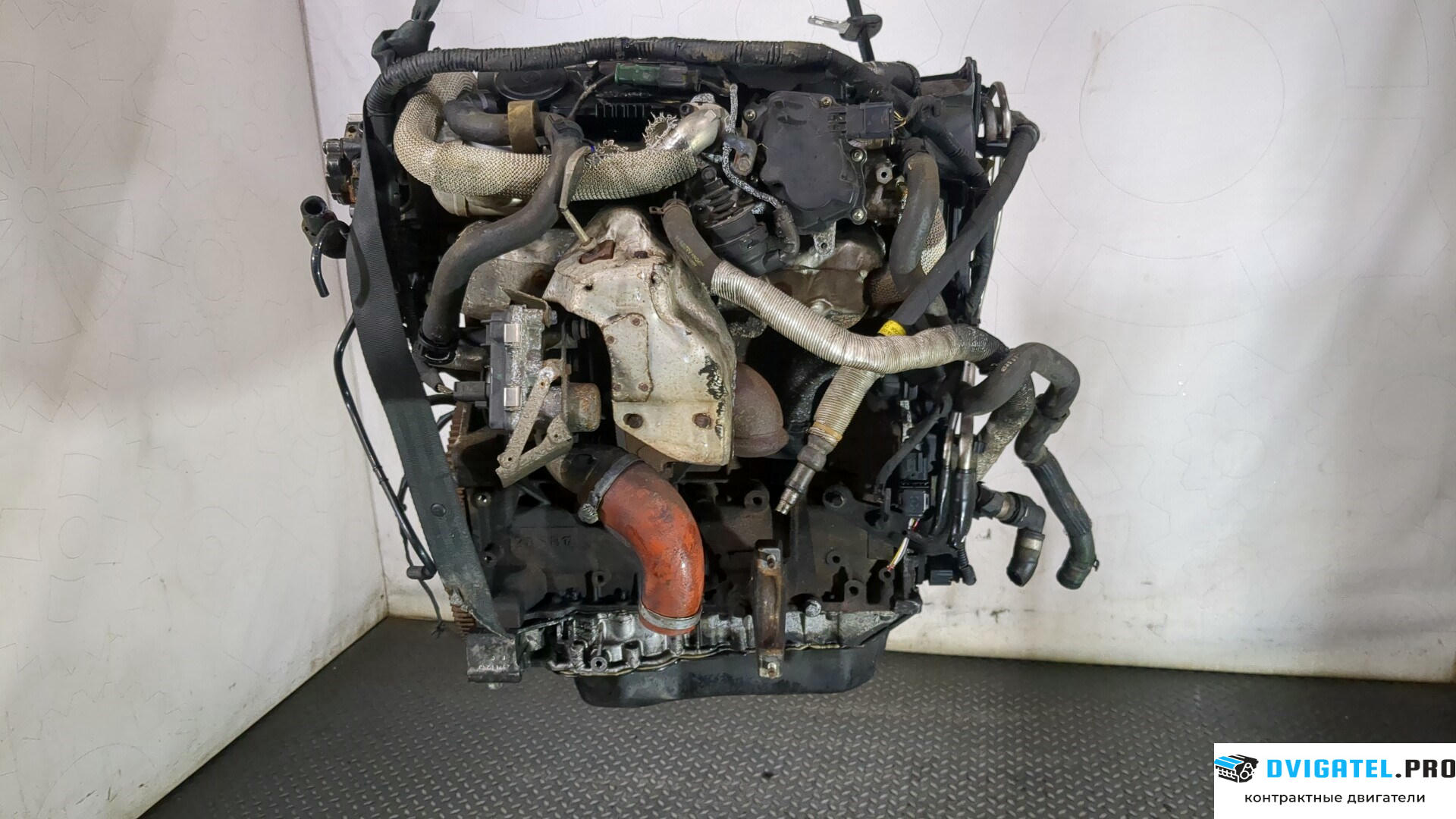 Двигатель Ford S-Max 2010 - 2015 KNWA,KNWB 2.2 л., Дизель, TDCI, артикул 8887703