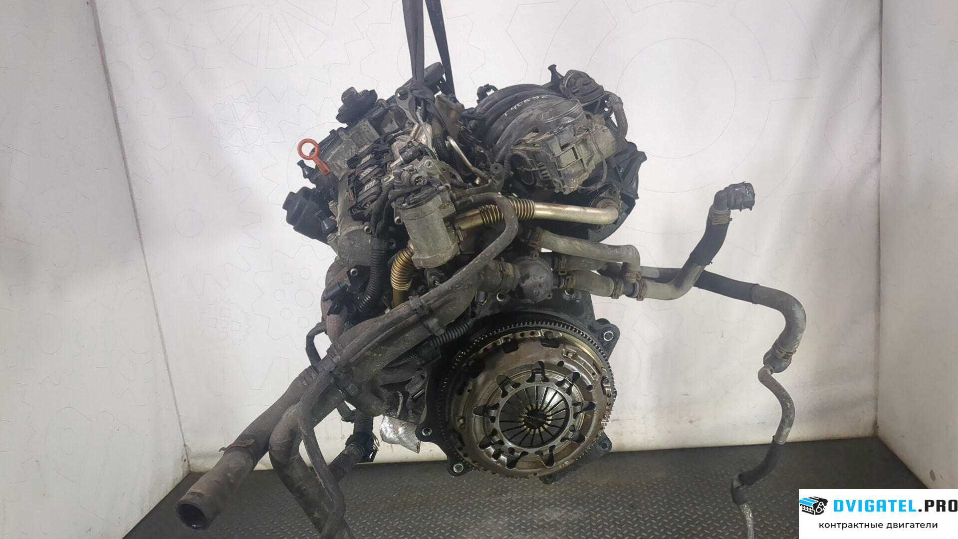 Двигатель Volkswagen Golf 5 2003 - 2009 BLF 1.6 л., Бензин, FSI, артикул 9012974