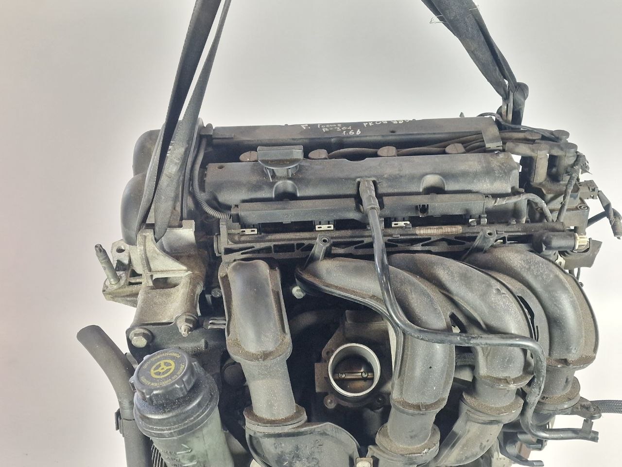Двигатель SHDA Ford Focus 2 restailing 1.6 Бензин