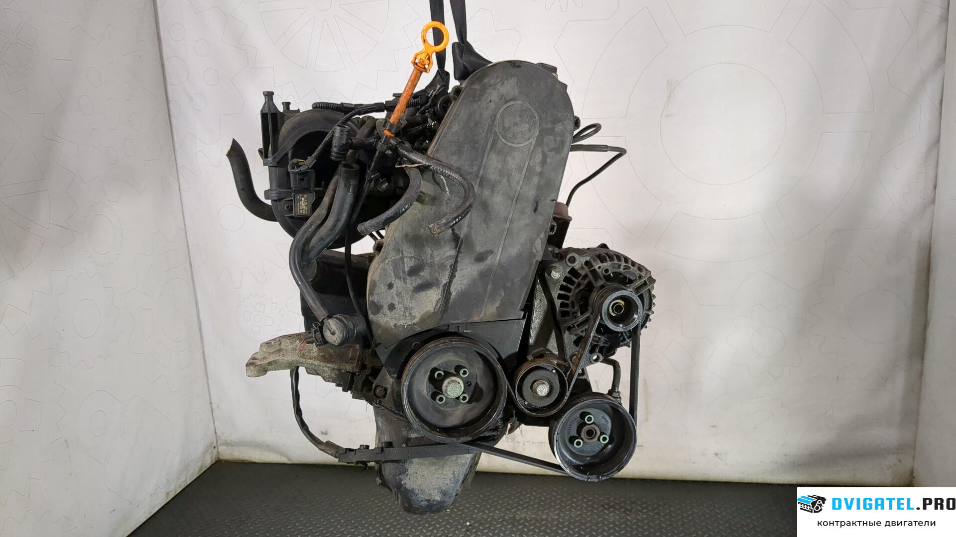 Двигатель Seat Cordoba 1999 - 2003 AKK 1.4 л., Бензин, Инжектор, артикул 8828060