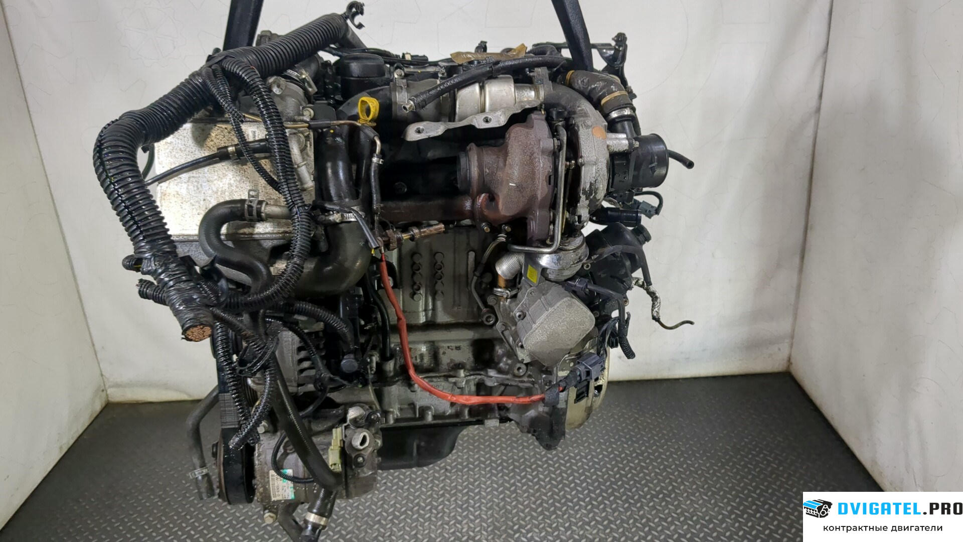 Двигатель Ford Focus 3 2011 - 2015 NGDA, NGDB 1.6 л., Дизель, TDCI, артикул 8880103