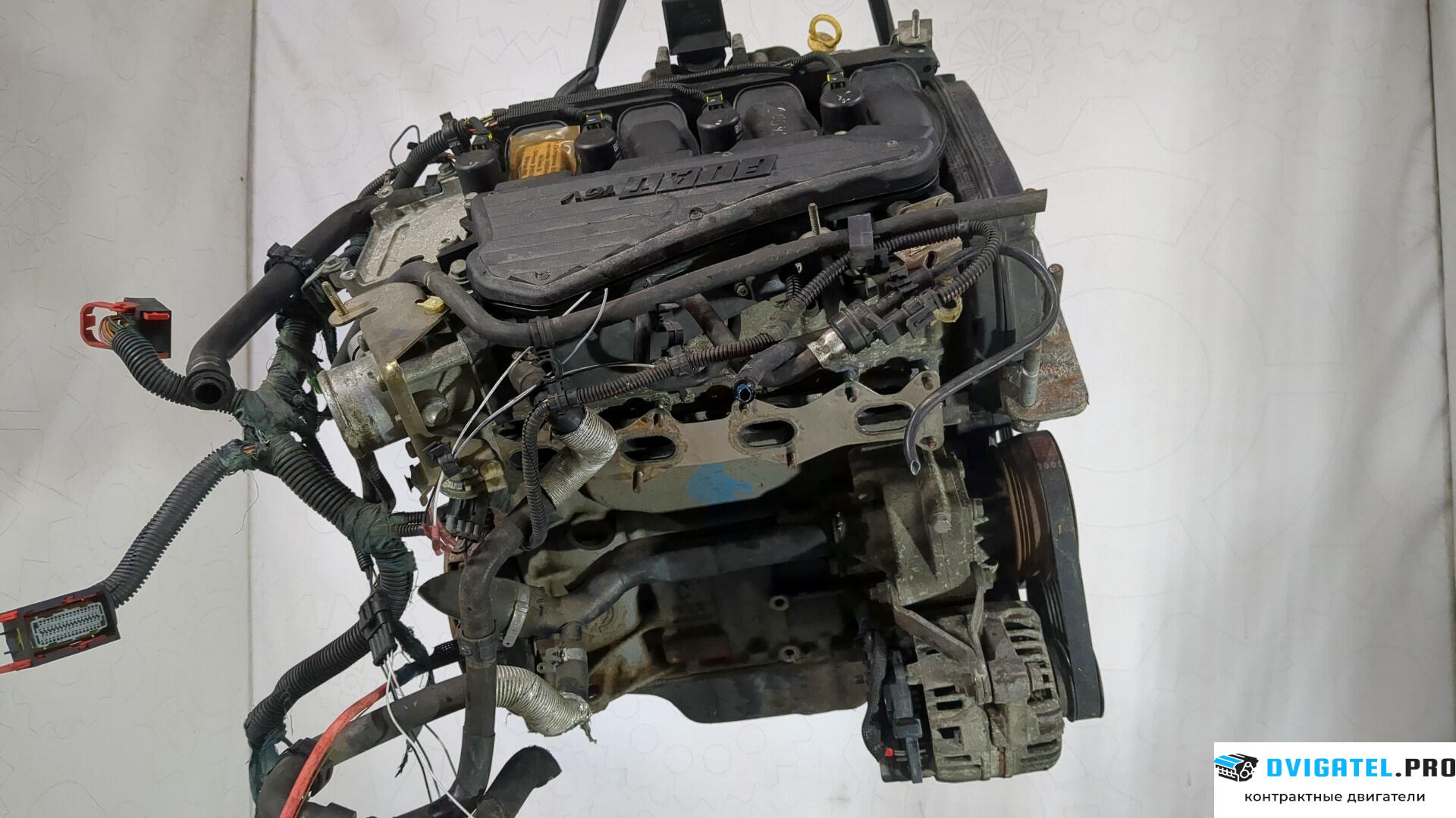 Двигатель Fiat Stilo 182 B 6.000 1.6 л., Бензин, Инжектор, артикул 8982699