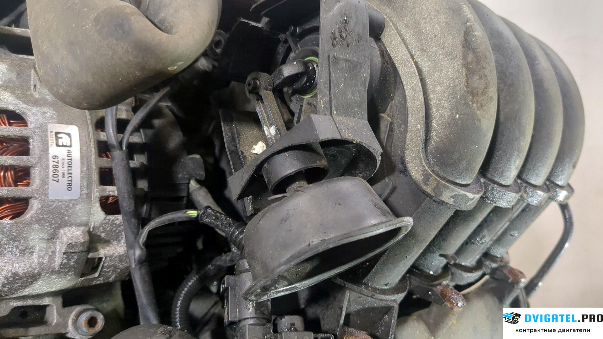 Двигатель Audi A4 B6 2000 - 2004 ALT 2 л., Бензин, Инжектор, артикул 8869148