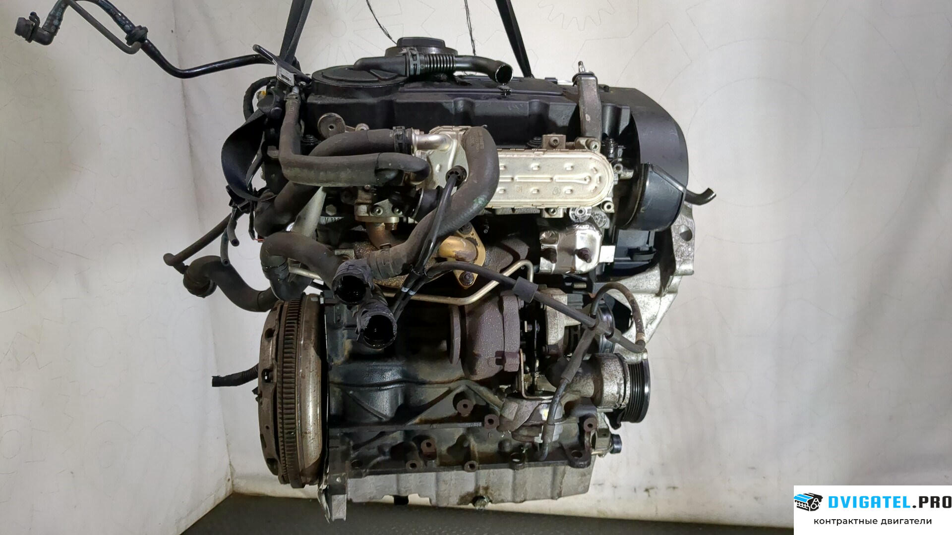 Двигатель Volkswagen Jetta 5 2004 - 2010 BKD 2 л., Дизель, TDI, артикул 9280587