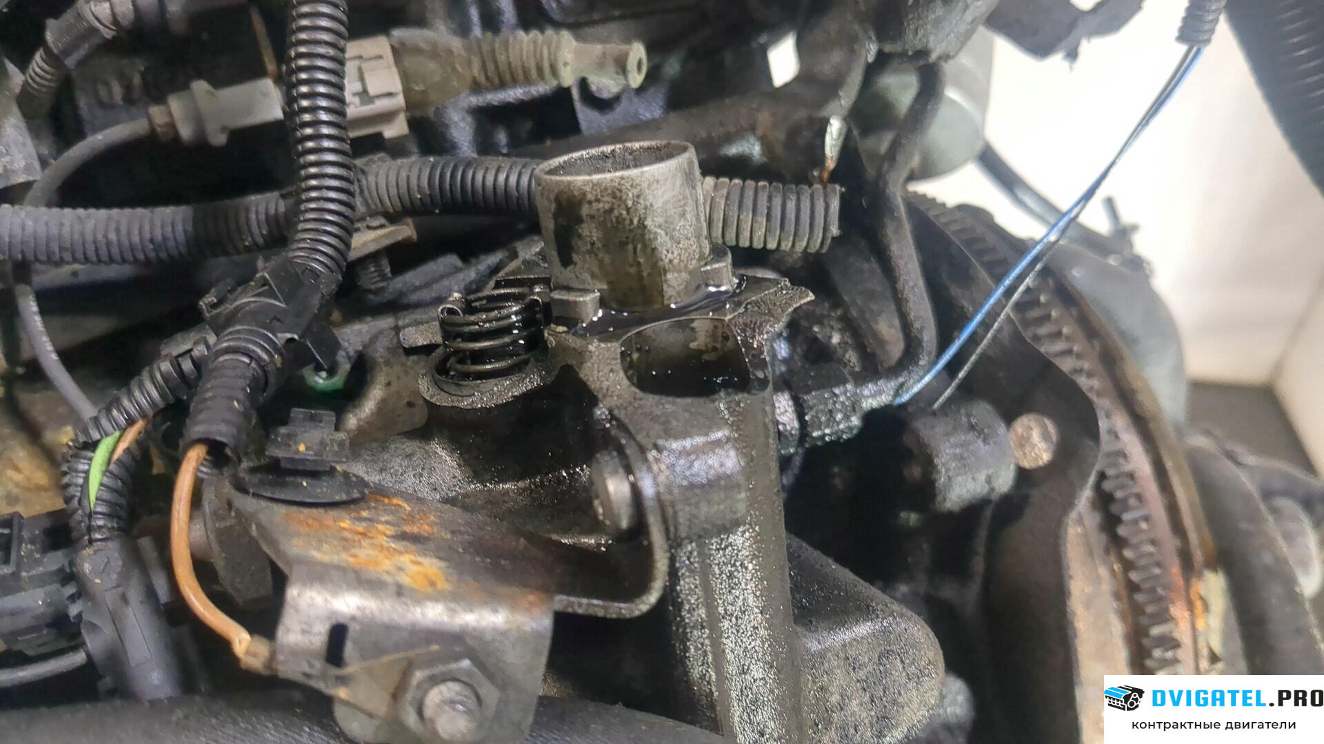 Двигатель Ford Galaxy 2000 - 2006 AUY 1.9 л., Дизель, TDI, артикул 8903528