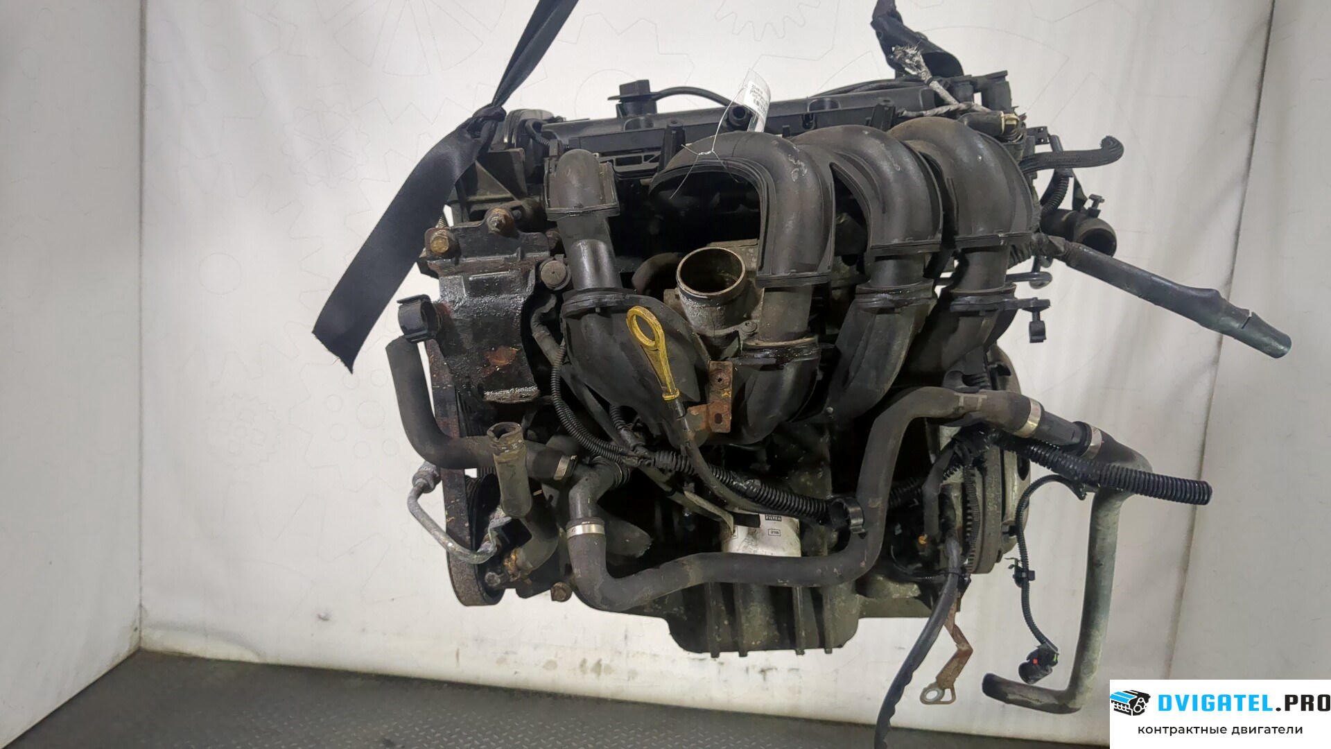 Двигатель Ford Focus 2 2008 - 2011 ASDA 1.4 л., Бензин, Инжектор, артикул 8955570