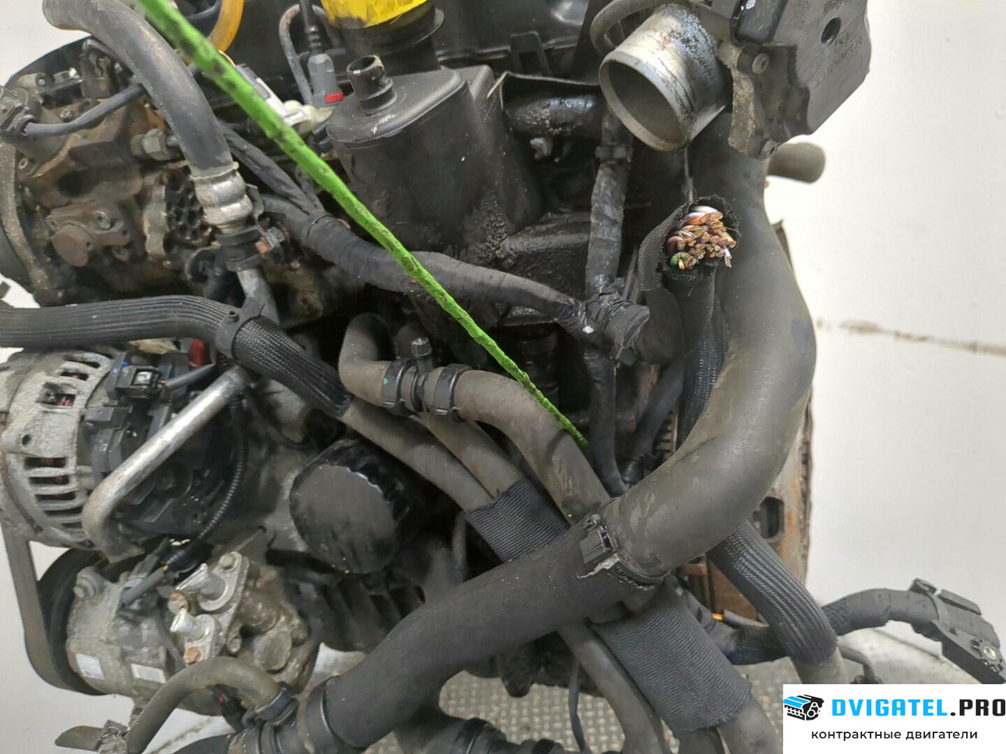 Двигатель Renault Scenic 2009 - 2012 F9Q 872 1.9 л., Дизель, DCI, артикул 8815684