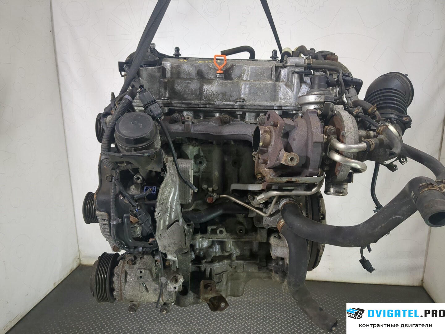 Двигатель Honda Accord 8 2008 - 2013 N22B1 2.2 л., Дизель, Турбо, артикул 8559821