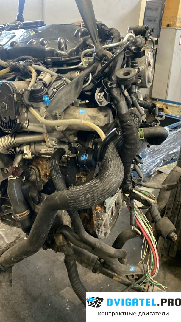 Двигатель Renault Laguna 3 2007 - н.в. M9R 742 2 л., Дизель, DCI, артикул 8263149