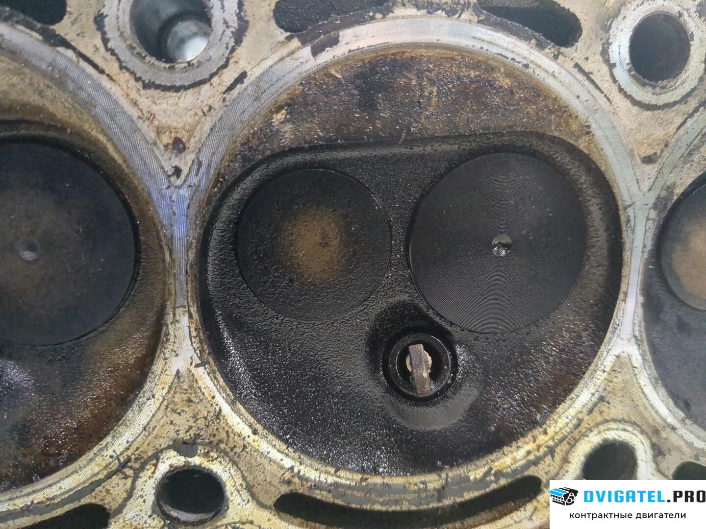 Головка блока цилиндров (ГБЦ) Volkswagen Polo 2001 - 2005 AWY 1.2 л., Бензин, Инжектор, артикул 8218731