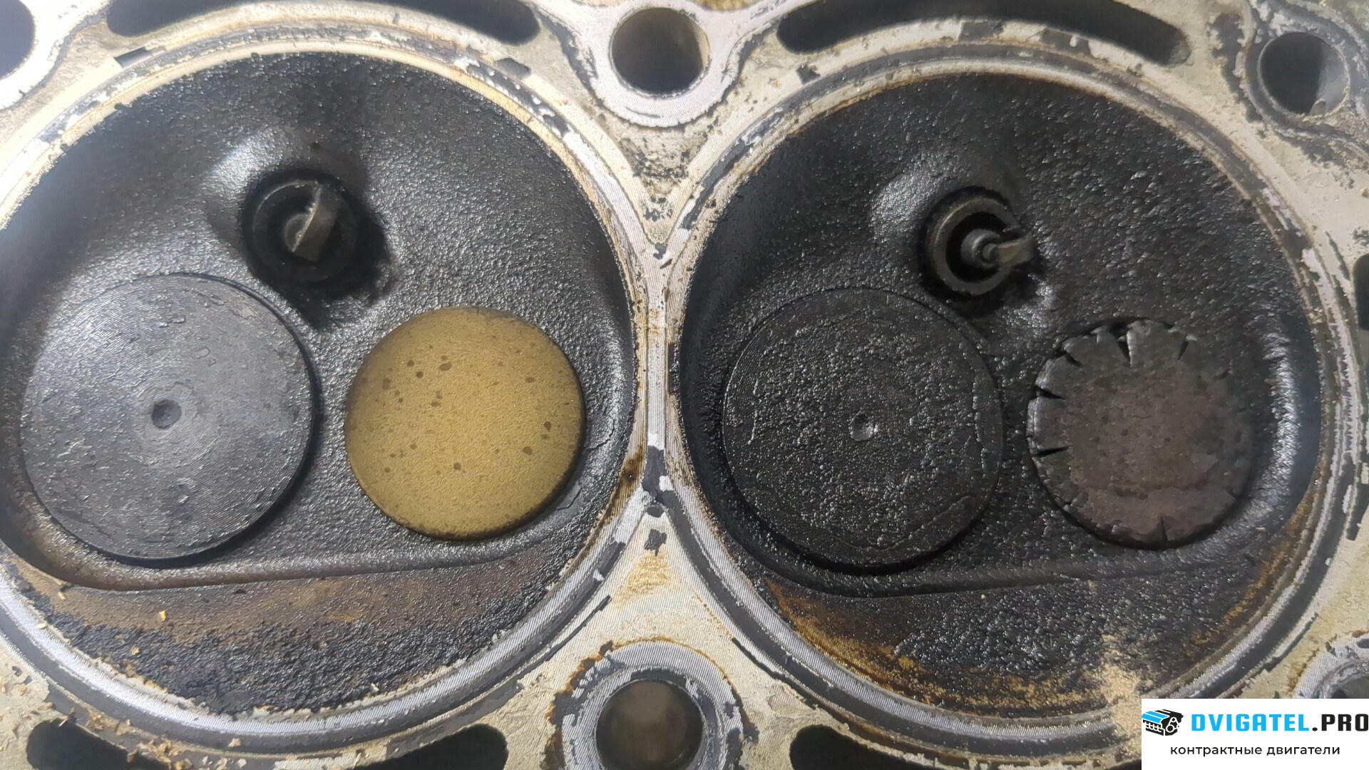Головка блока цилиндров (ГБЦ) Volkswagen Polo 2001 - 2005 AWY 1.2 л., Бензин, Инжектор, артикул 9212937
