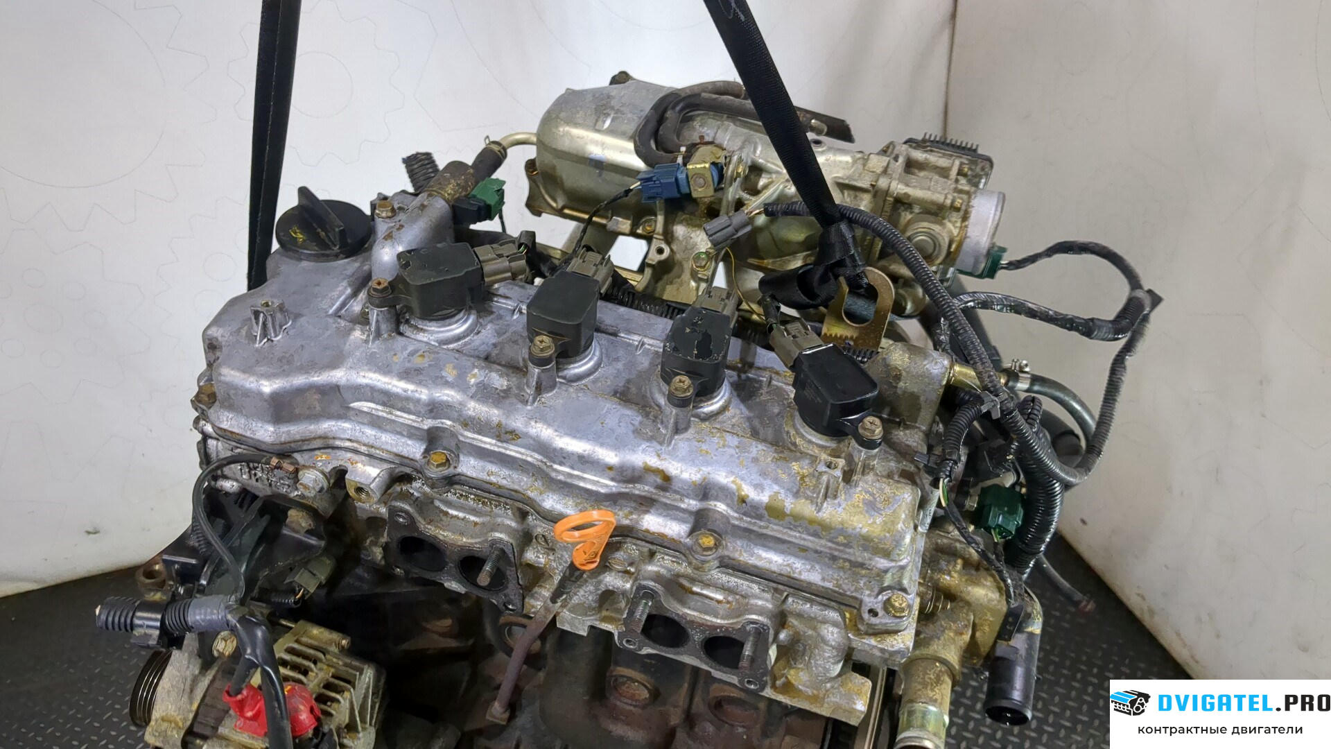 Двигатель Nissan Almera Tino QG18DE 1.8 л., Бензин, Инжектор, артикул 9245624