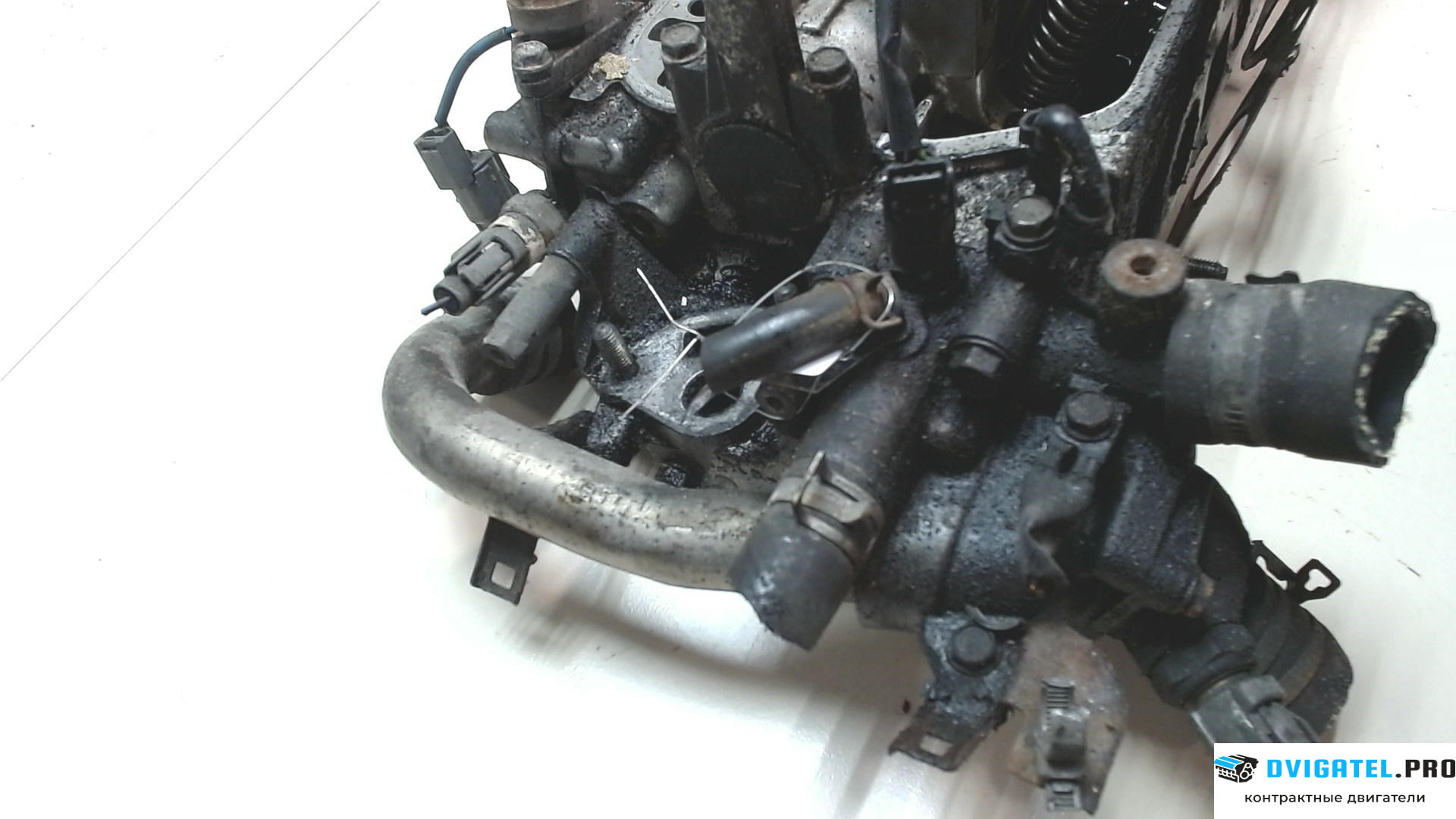 Головка блока цилиндров (ГБЦ) Honda FRV D17A2 1.7 л., Бензин, Инжектор, артикул 8100406