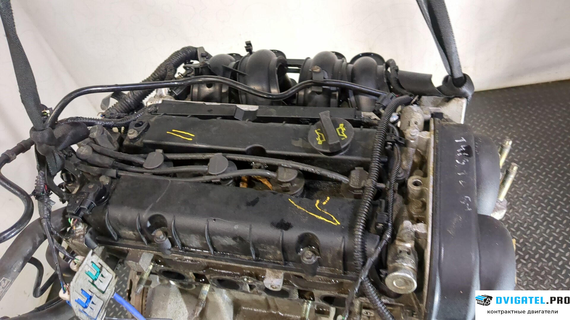 Двигатель Ford Focus 2 2005 - 2008 HXDA, HXDB 1.6 л., Бензин, Ti-VCT, артикул 9284994