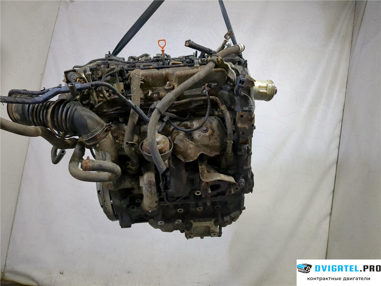 Двигатель Honda CR-V 2002 - 2006 N22A2 2.2 л., Дизель, CTDi, артикул 7899556