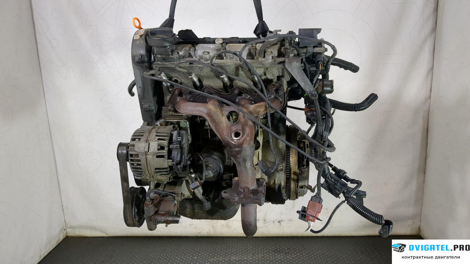 Двигатель Seat Cordoba 1999 - 2003 AKK 1.4 л., Бензин, Инжектор, артикул 8828060