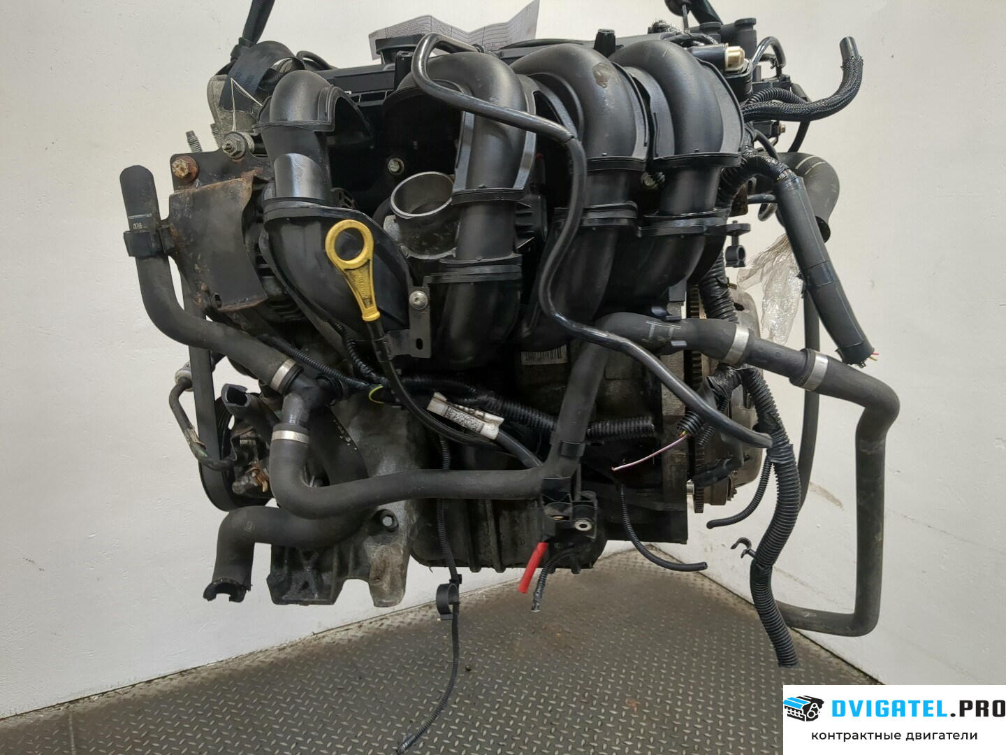 Двигатель Ford Focus 2 2008 - 2011 SHDA, SHDC 1.6 л., Бензин, Инжектор, артикул 9237000