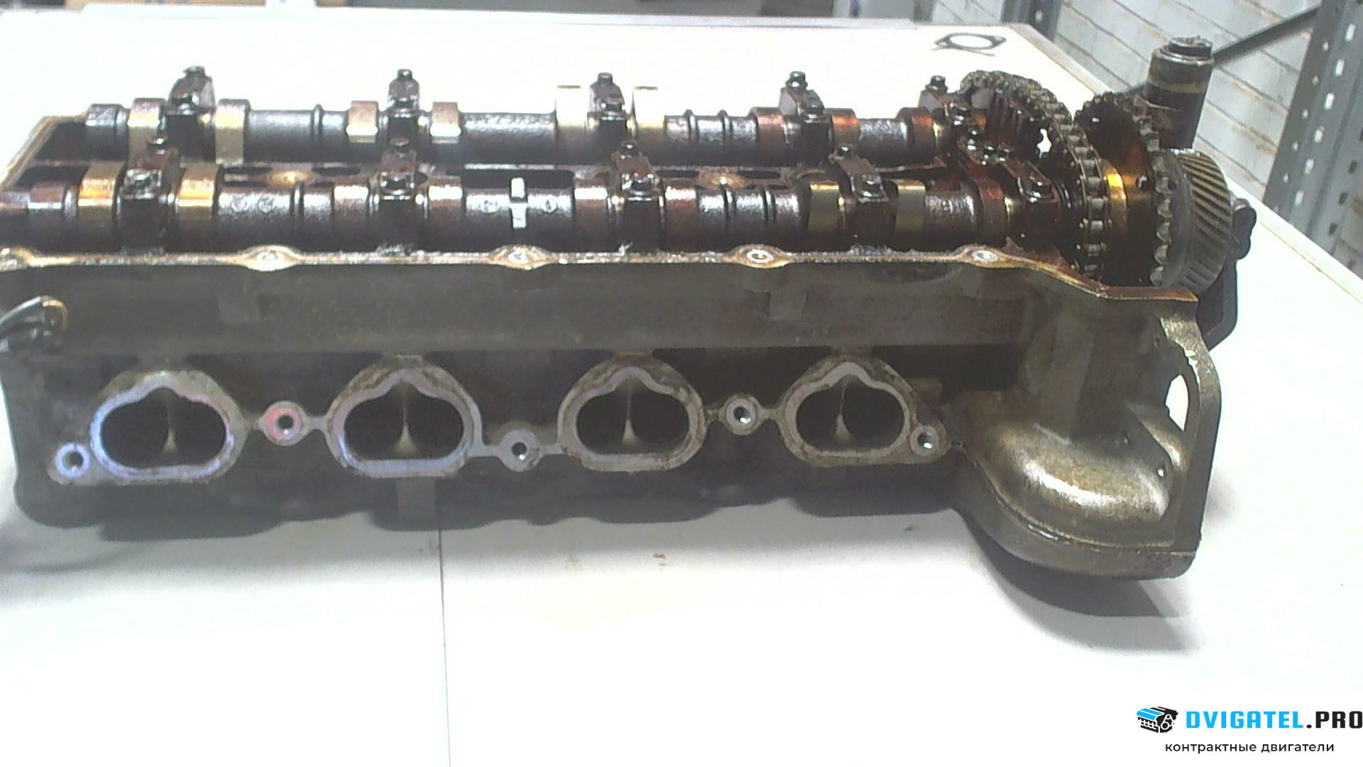 Головка блока цилиндров (ГБЦ) Jaguar XK 1996 - 2004 CE,CC,NB,NC 4.0 л., Бензин, Инжектор, артикул 6447588