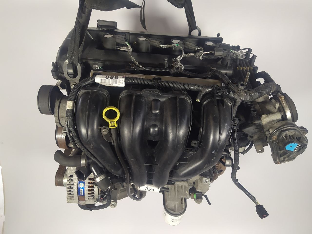 Двигатель QQDB Ford Focus 2 1.8 Бензин